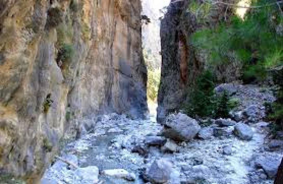 samaria.jpg