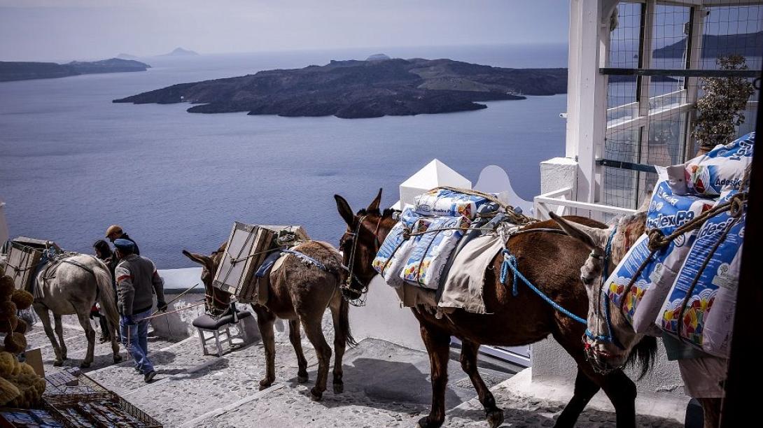 Σαντορινη Γαϊδουράκια