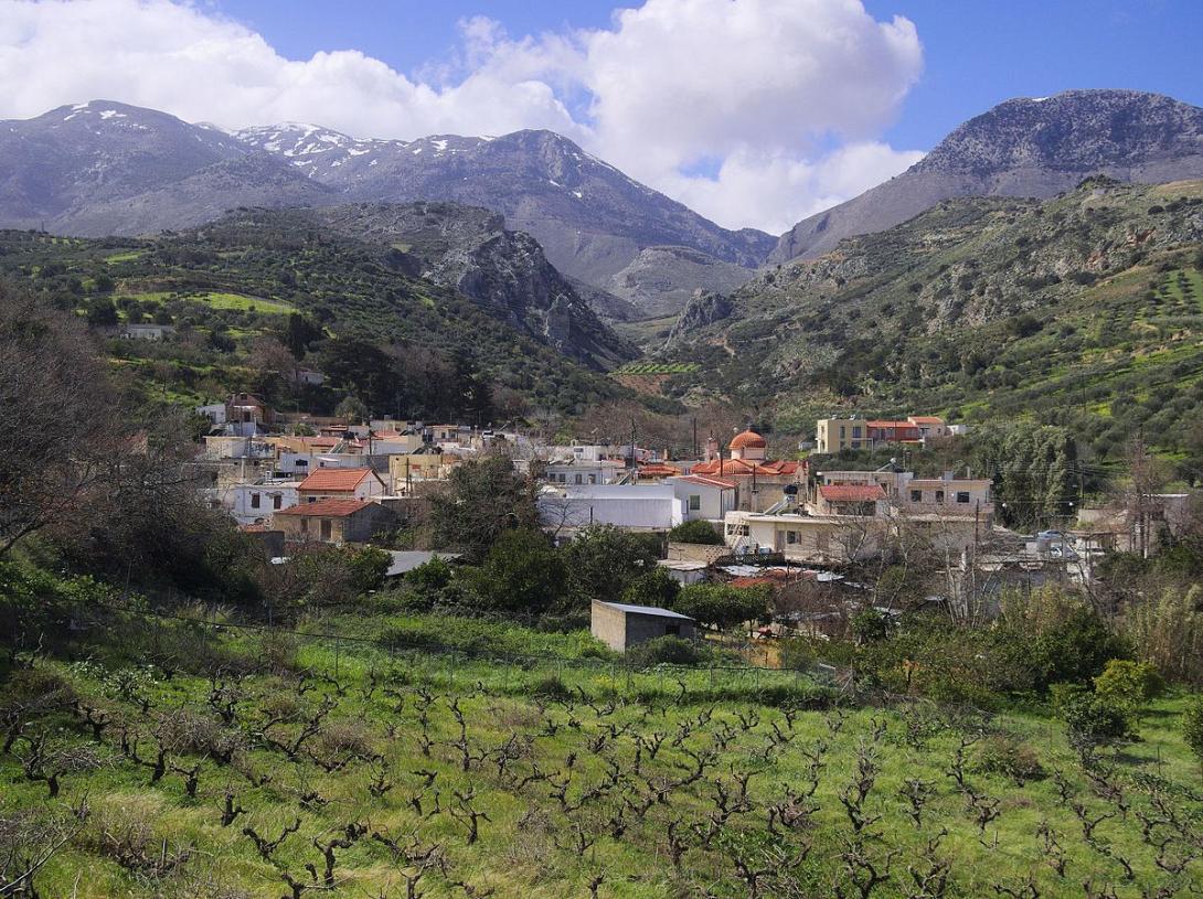 σάρχος 