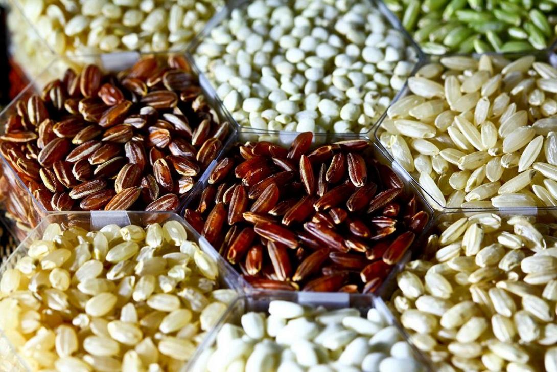 save_our_seeds-06-128.jpg