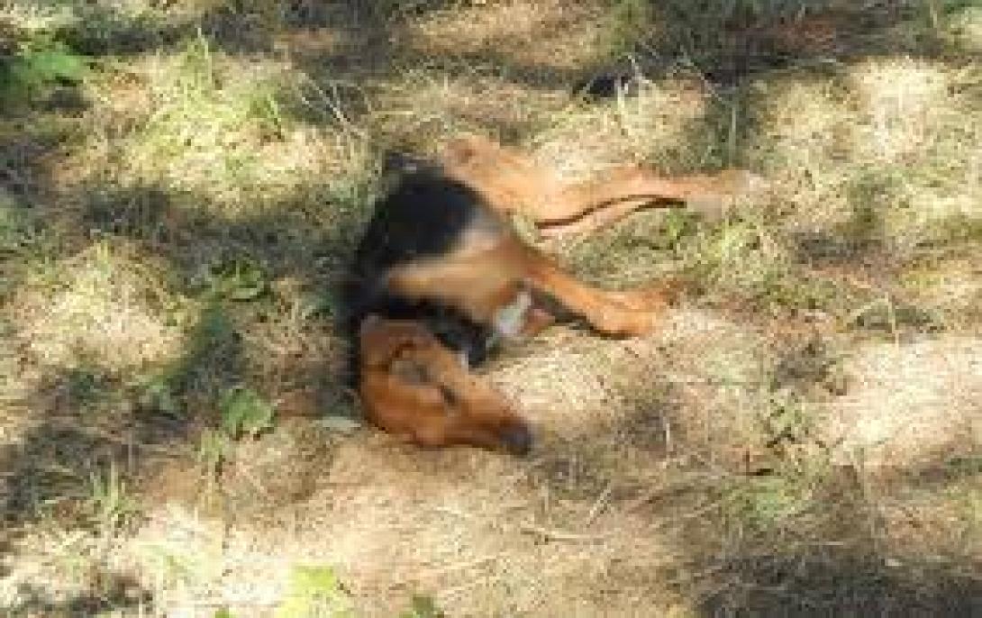 Οδηγίες από το Μ.Φ.Ι.Κ για τα απαγορευμένα αγροχημικά
