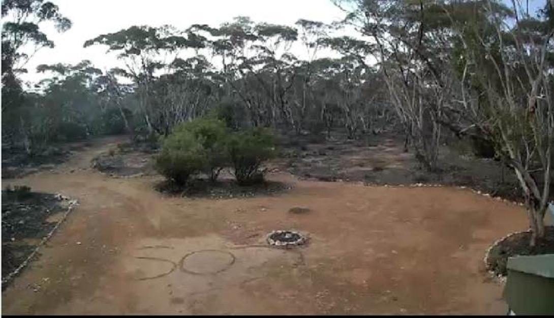 sosaustralia2.jpg