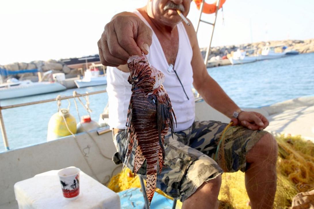 λεοντόψαρο ηράκλειο