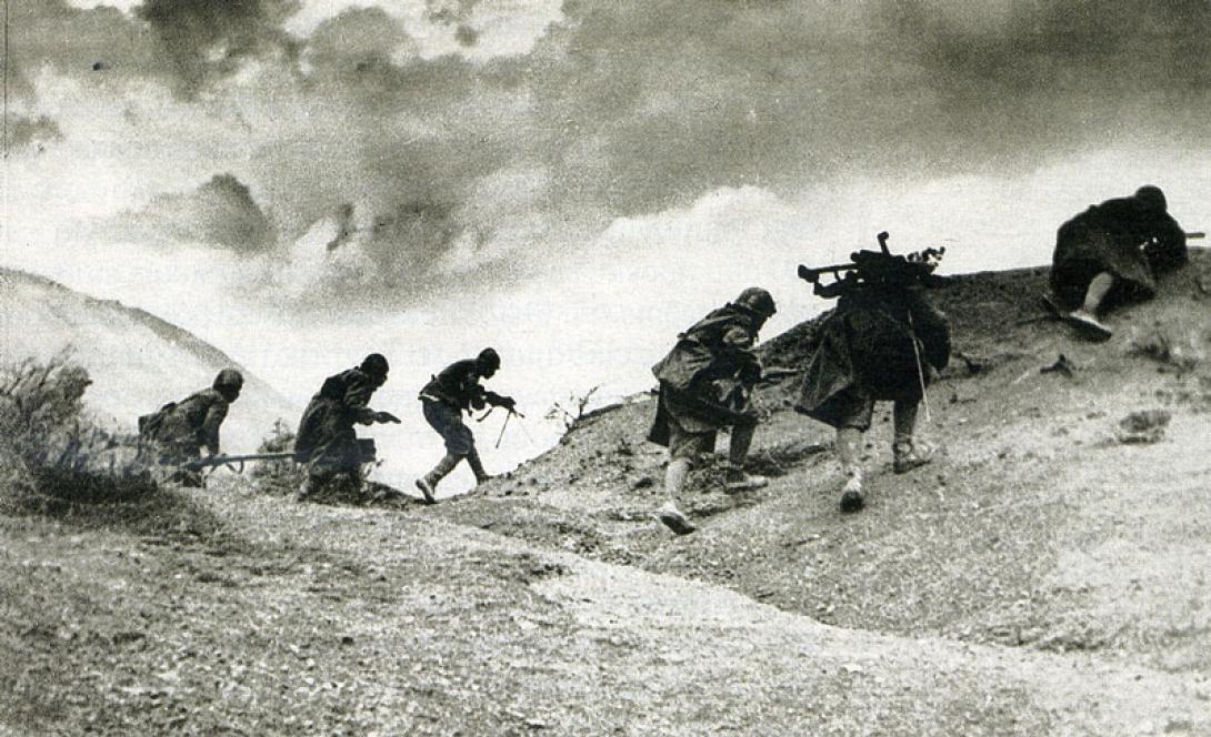 stratiotes_1940.jpg