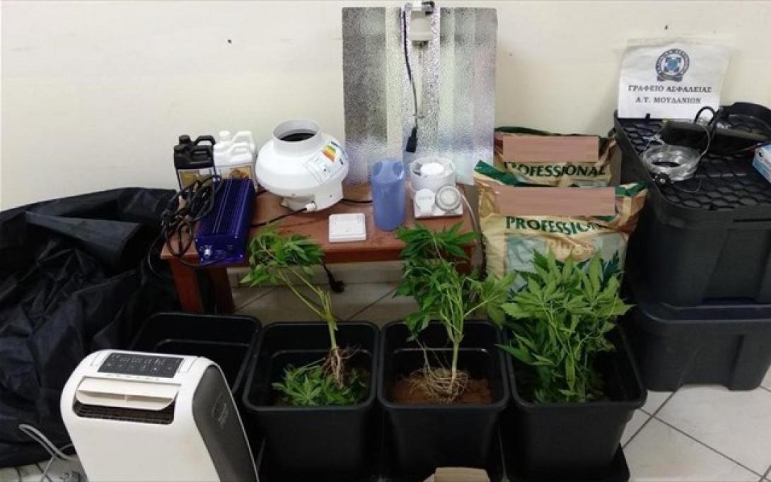 sunelifthisan-sti-thessaloniki-4-atoma-gia-diakinisi-kai-kalliergeia-kannabis.jpg
