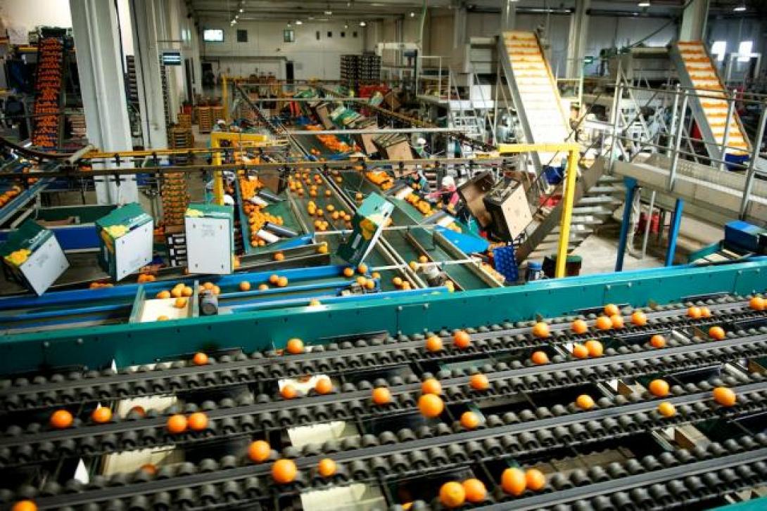 συσκευαστηρια