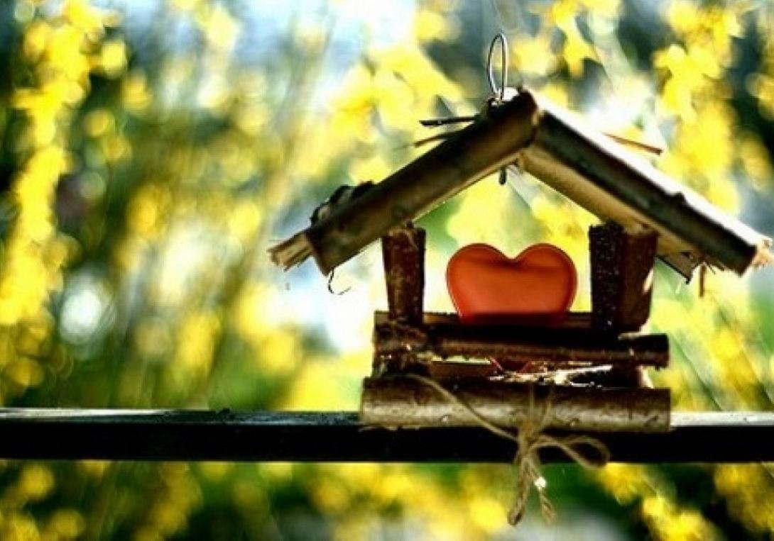 sweet-home.jpg