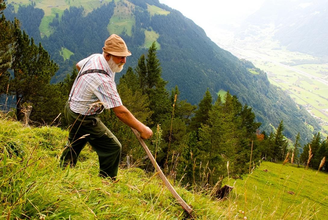 swiss_farmer.png