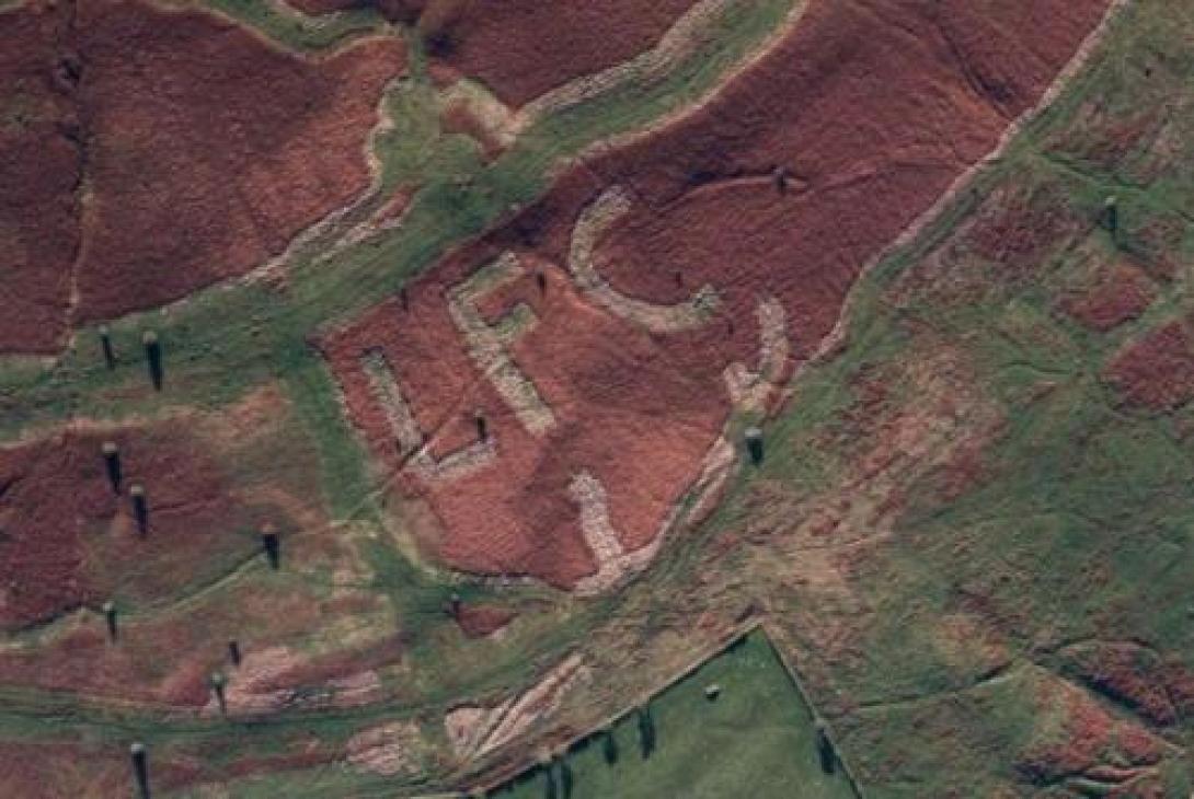swns_lfc_field_02.jpg
