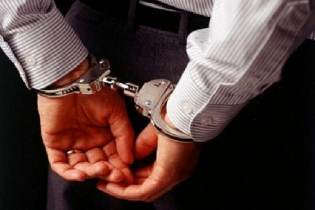 Έβρος: Σύλληψη 46χρονου που πέταξε τρία κουτάβια σε λίμνη