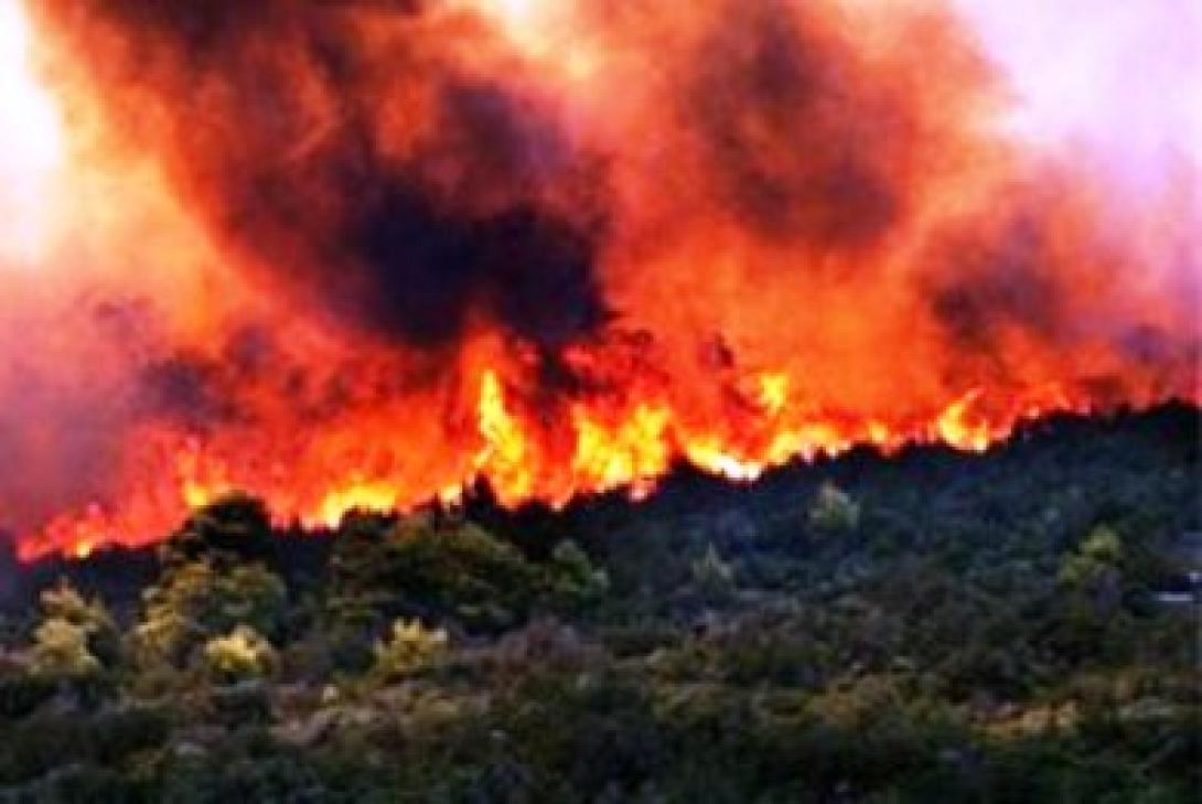 Τρεις άντρες ομολόγησαν πρόσφατους εμπρησμούς στα Χανιά