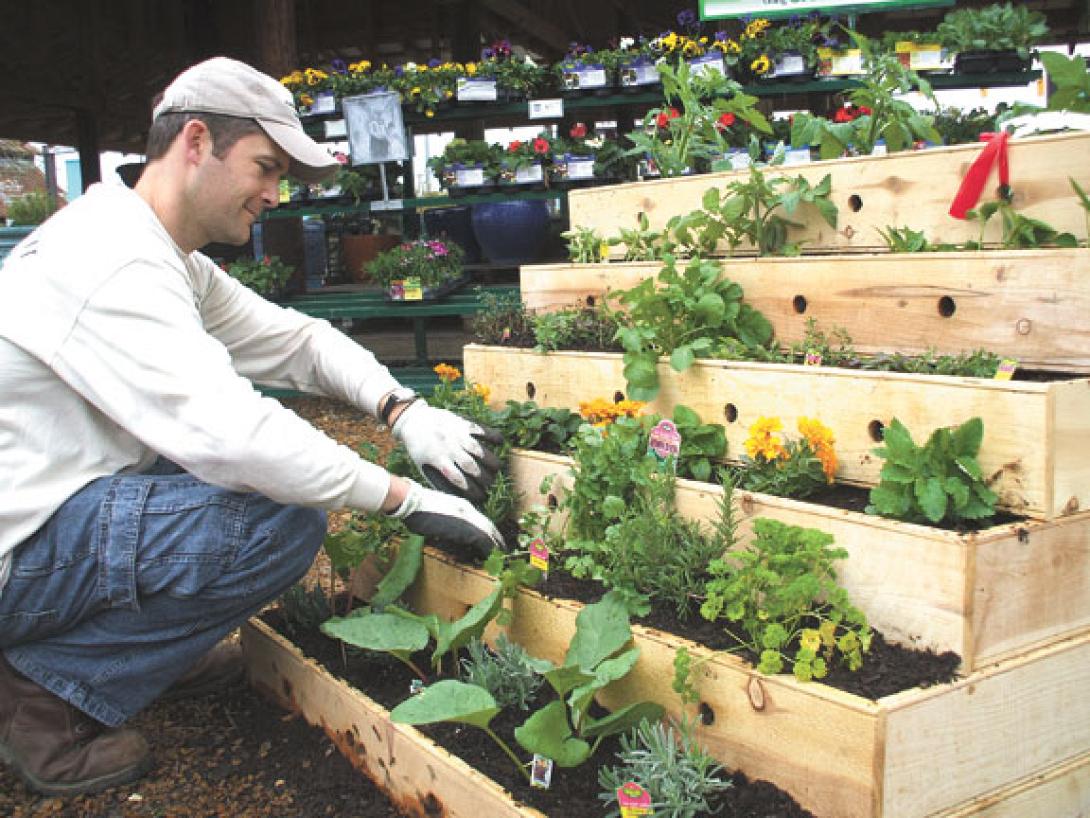 the_urban_garden.jpg