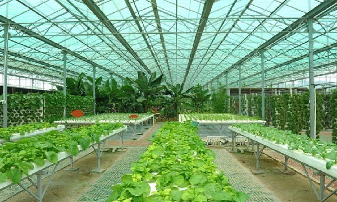 θερμοκήπιο