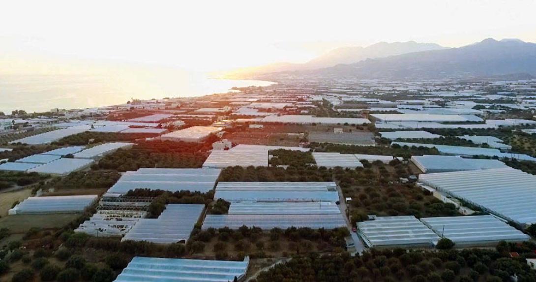 Θερμοκήπια - Ιεράπετρα