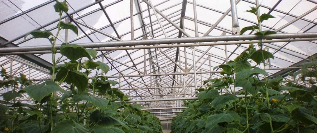 θερμοκήπιο