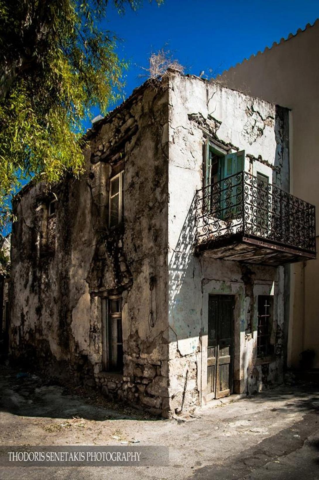 δαφνες σενετακης