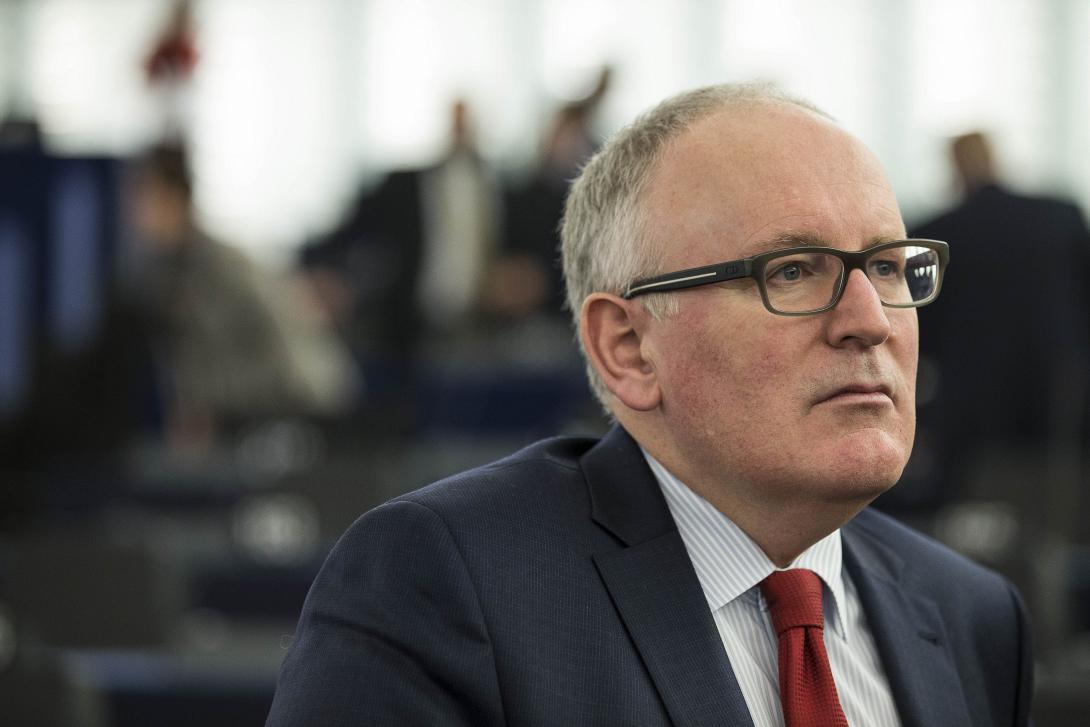 timmermans.jpg