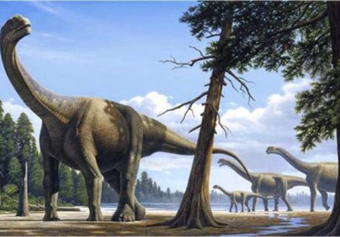 titanosaurus.gif