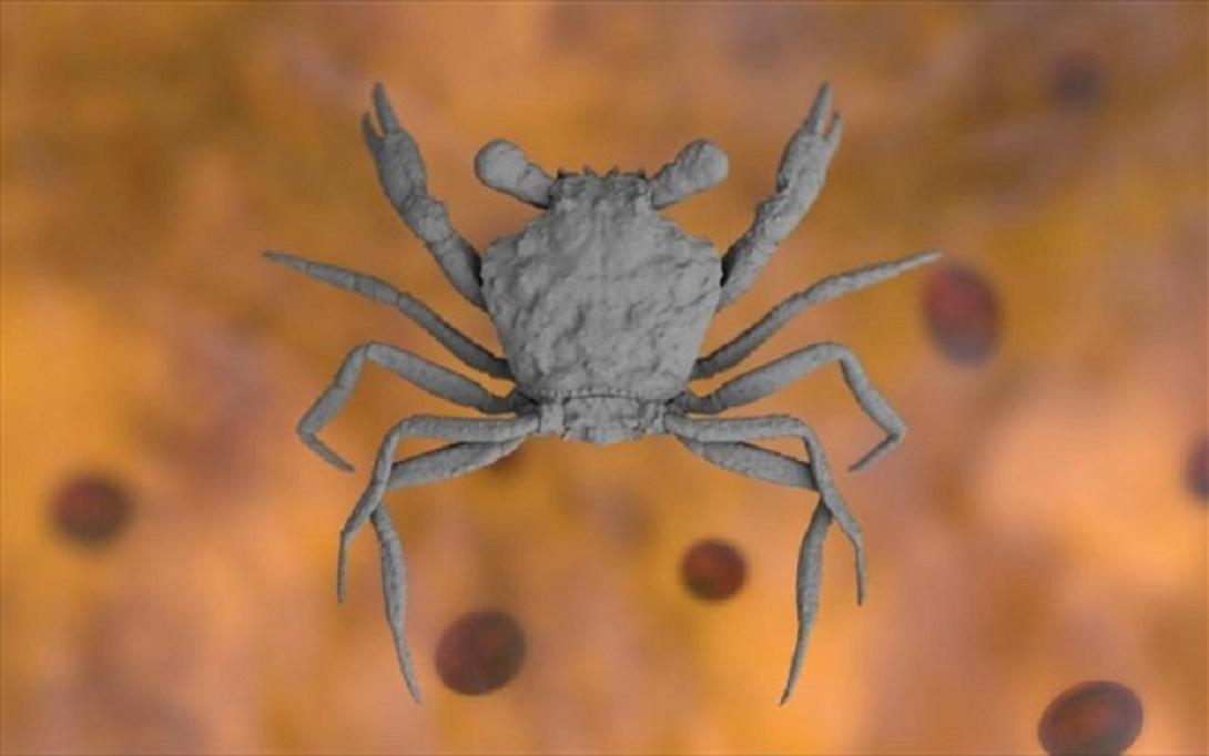 αρχαιοτερο καβουρι