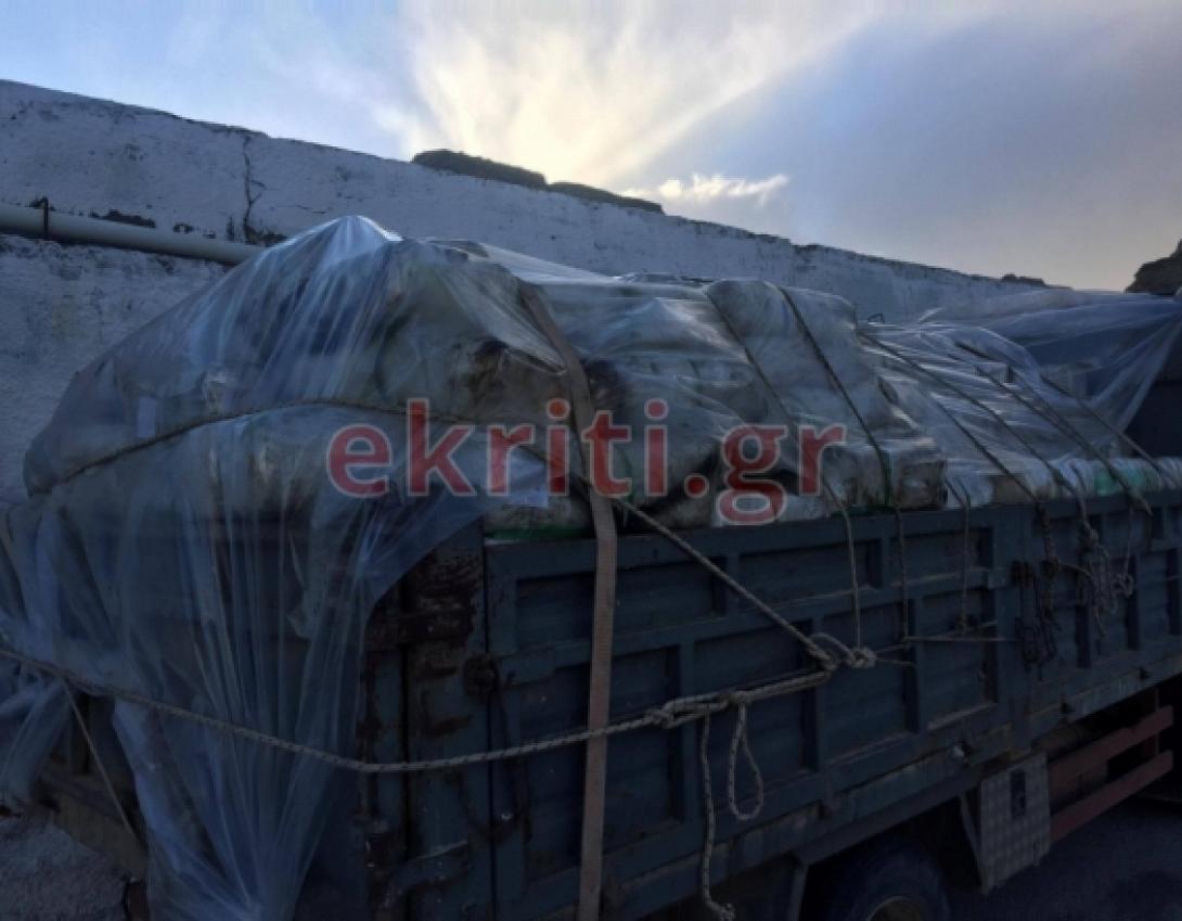 ανδρέας πλοίο