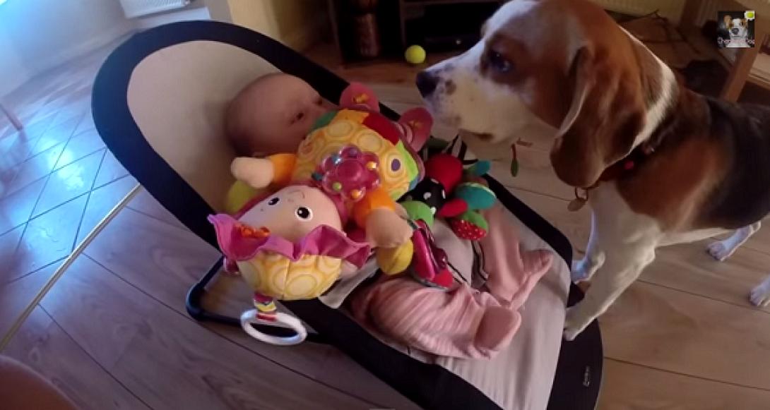 Τι κάνει ένας σκύλος για να σταματήσει το μωρό να κλαίει (βίντεο)
