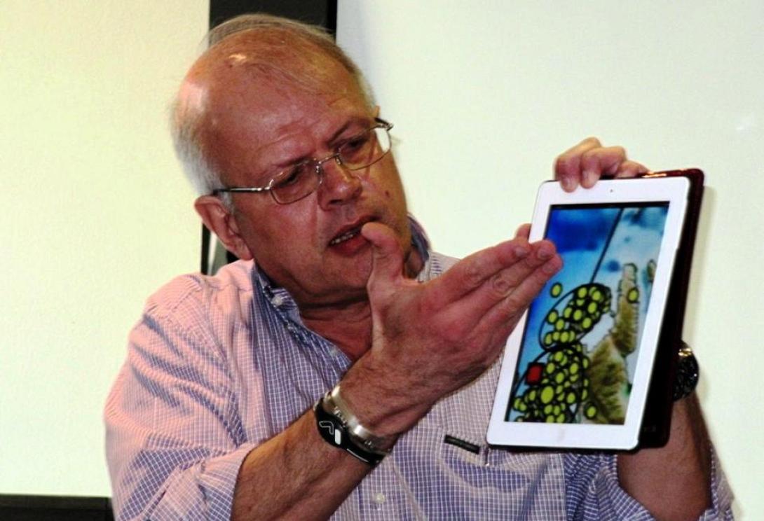 tselentis.jpg