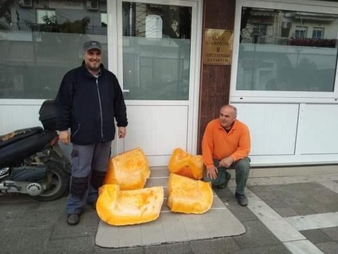 πτολεμαΐδα κολοκυθα.jpg