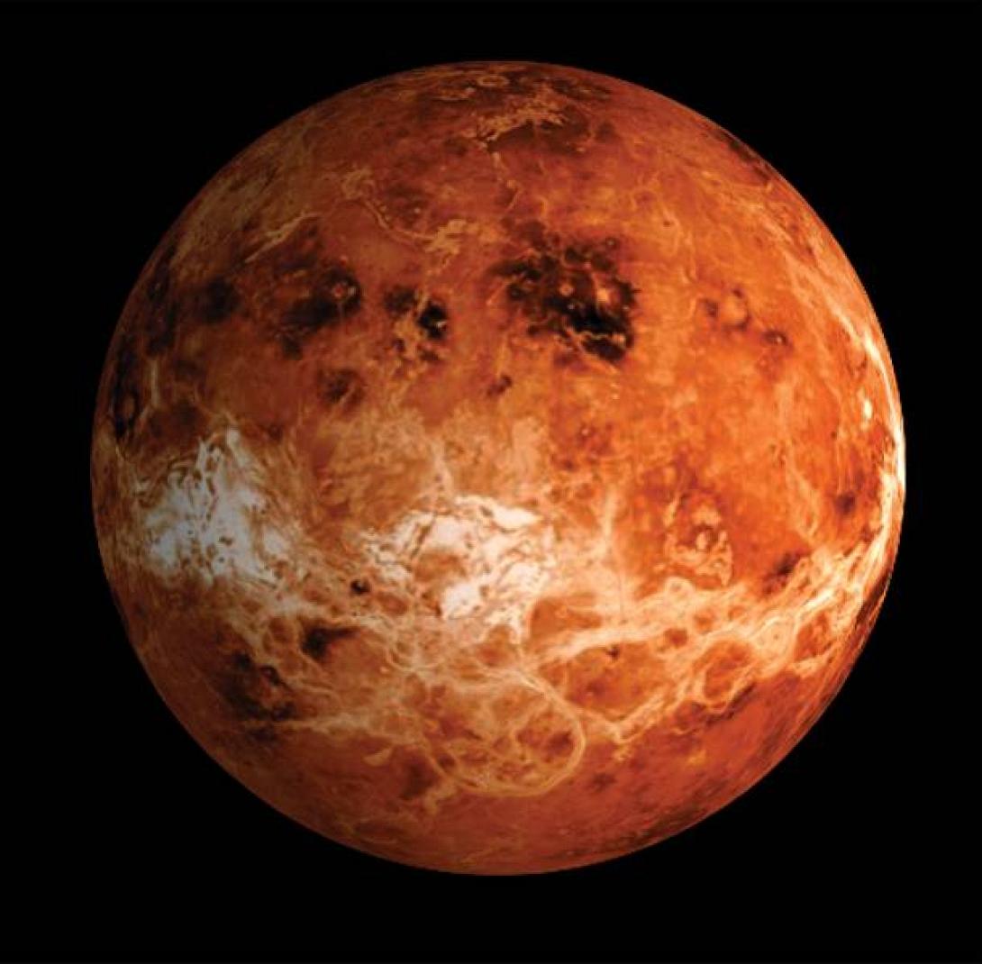 venus-thumb-large.jpg