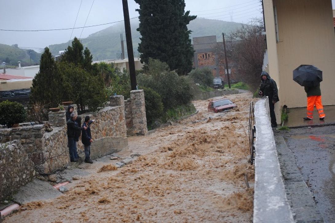 viannos4.jpg