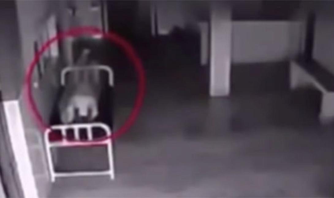 video_paraksena_perierga_creepy_metafisika.jpg