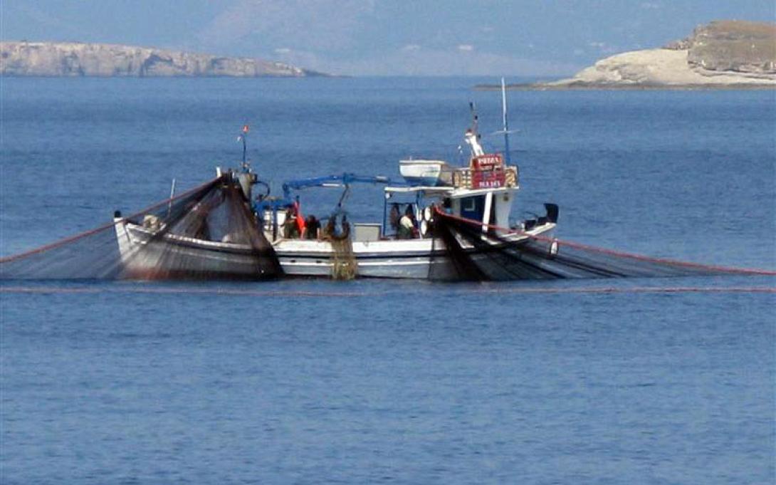 βιντζότρατα