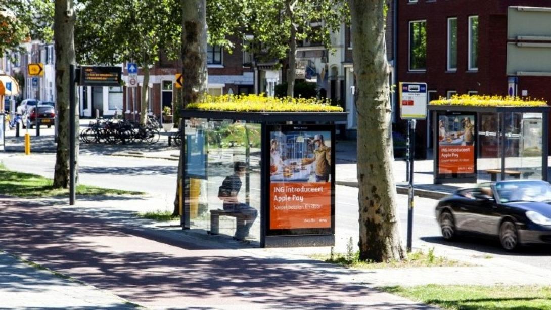 w05-100458utrechtbusbees.jpg