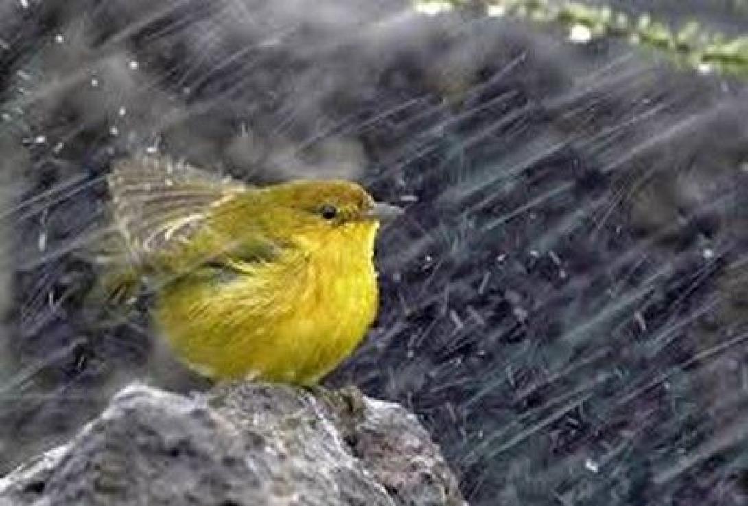 Χαλάει από το απόγευμα και μετά, ο καιρός στην Κρήτη