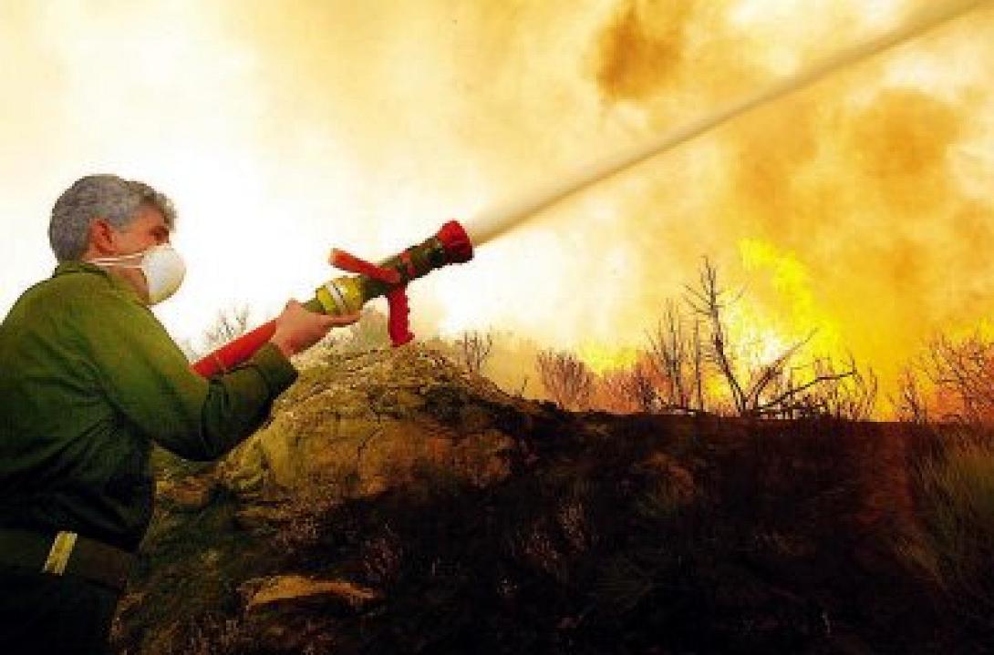 Υπό μερικό έλεγχο η πυρκαγιά στο Χανδρά Σητείας