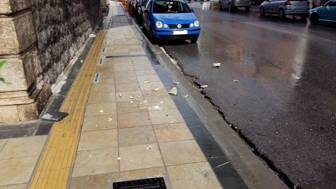xanioporta2.jpg
