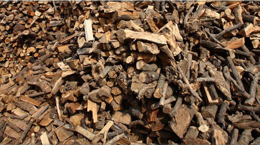 Κατασχέθηκαν 5.800 τόνοι ακατάλληλης ξυλείας