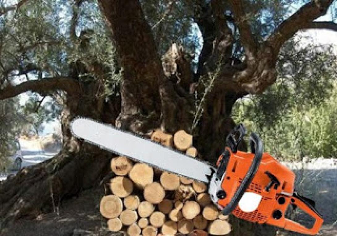 Τραγικό ατύχημα στο Λέντα - 47χρονος έκοψε το πόδι του και ξεψύχησε