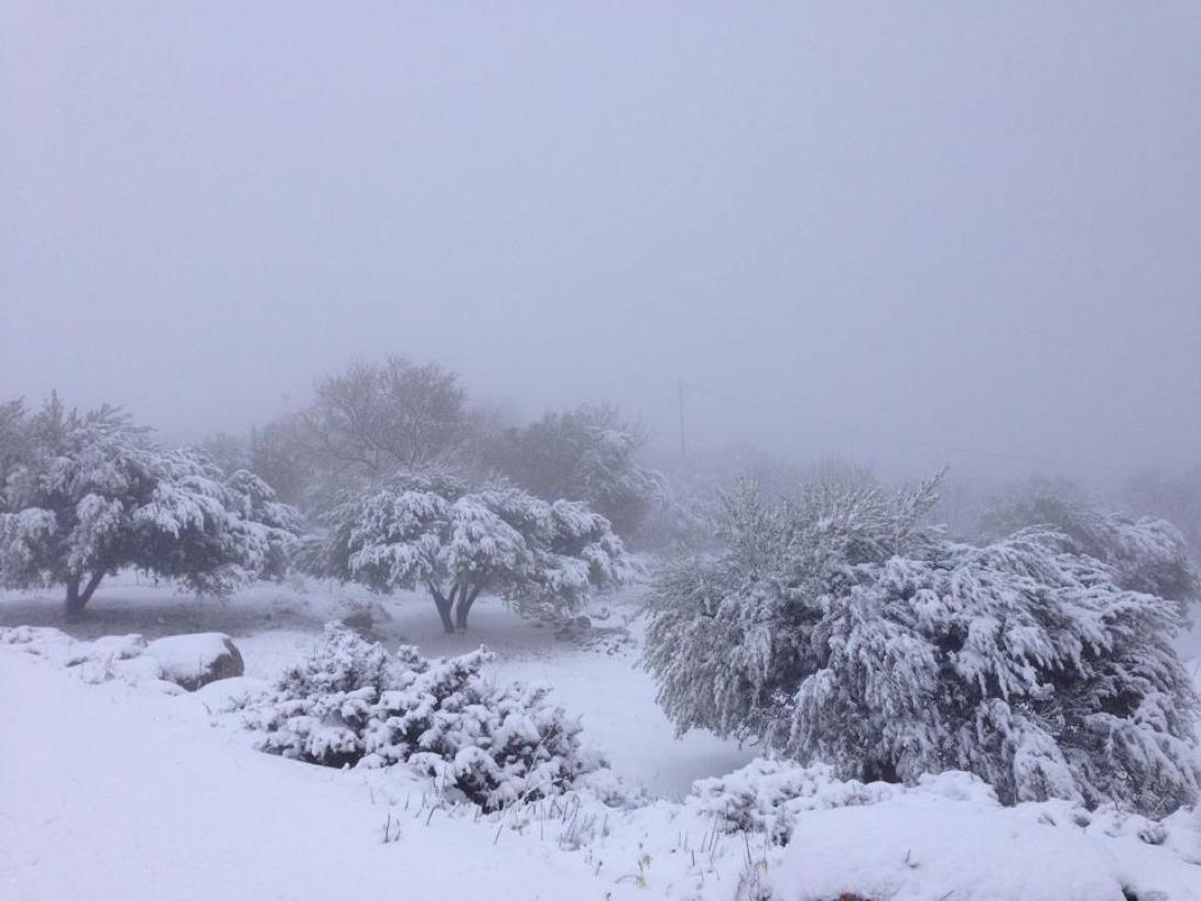 Δηλώσεις ζημιάς απο χιονόπτωση στο δήμο Μινώα Πεδιάδας