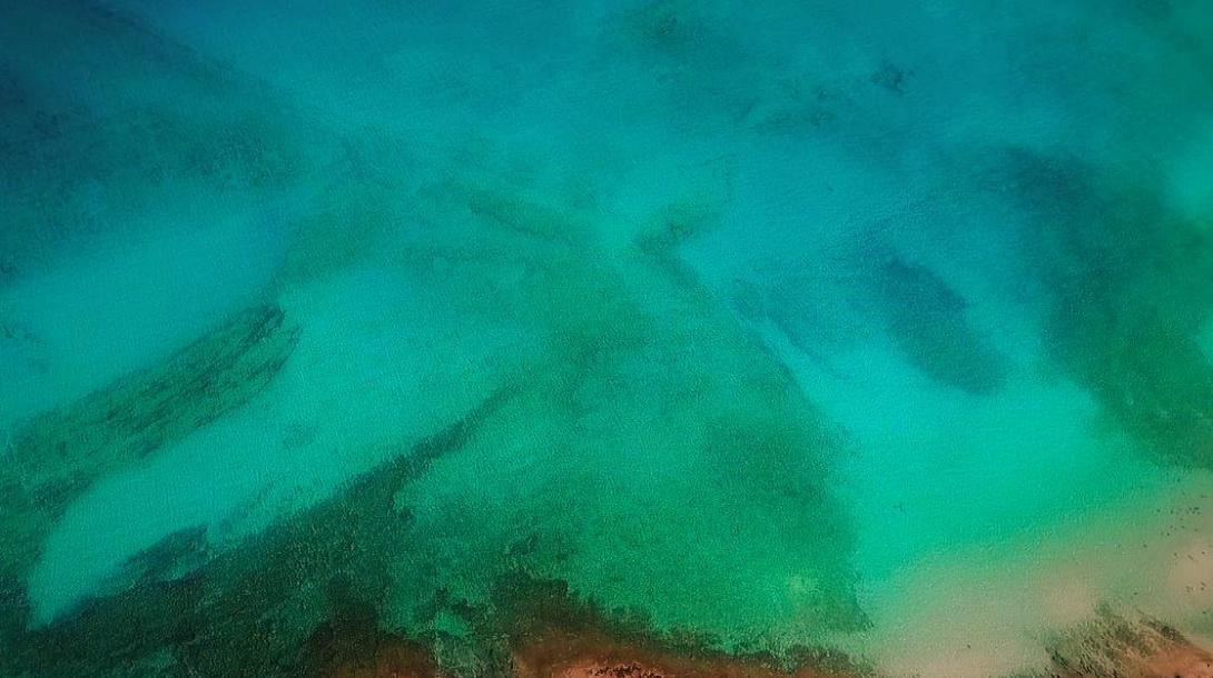 Χρυση (σαράντος)