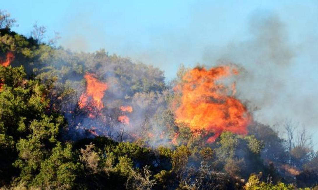 zakinthos-fotia.jpg