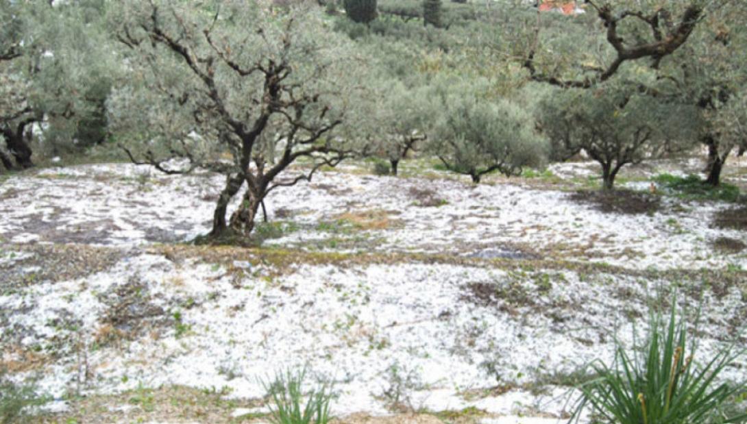 ζημιες εβρος