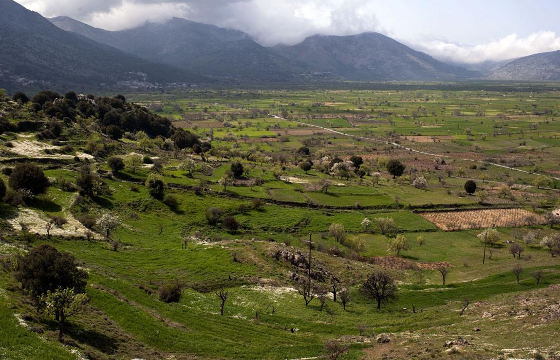 Μεγάλες ζημιές στις καλλιέργειες του Οροπεδίου Λασιθίου από τους νοτιάδες